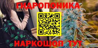 крисы Кудрово