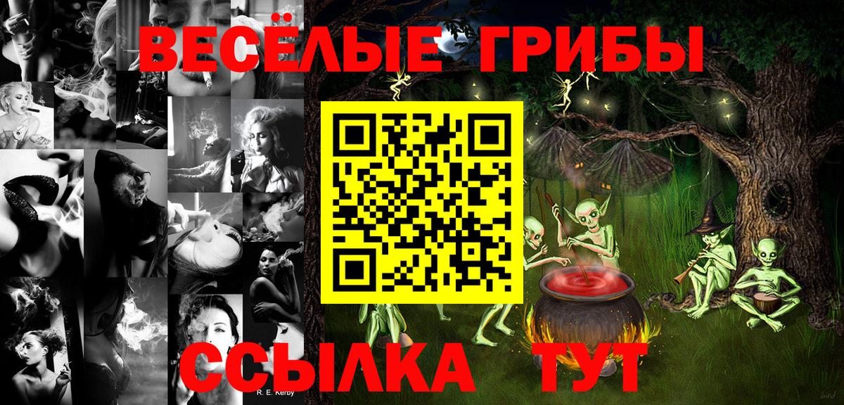 Верхняя Пышма  Псилоцибиновые грибы Magic Shrooms  где купить наркоту  Вход с VPN 